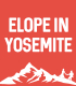 Elope In Yosemite
