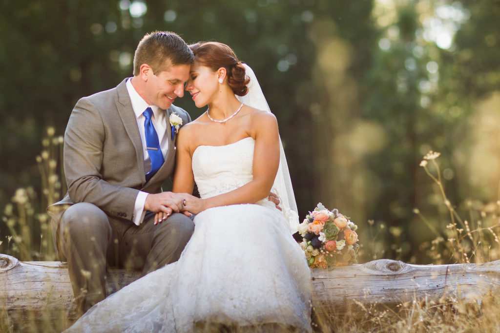 Yosemite Elopement on Log