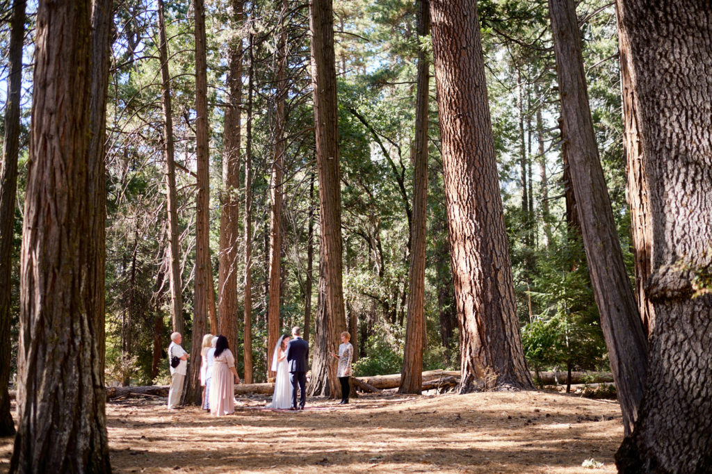 Intimate Yosemite Wedding Ceremony